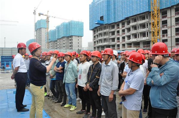 1560136545901958.jpg DSC_6982.JPG